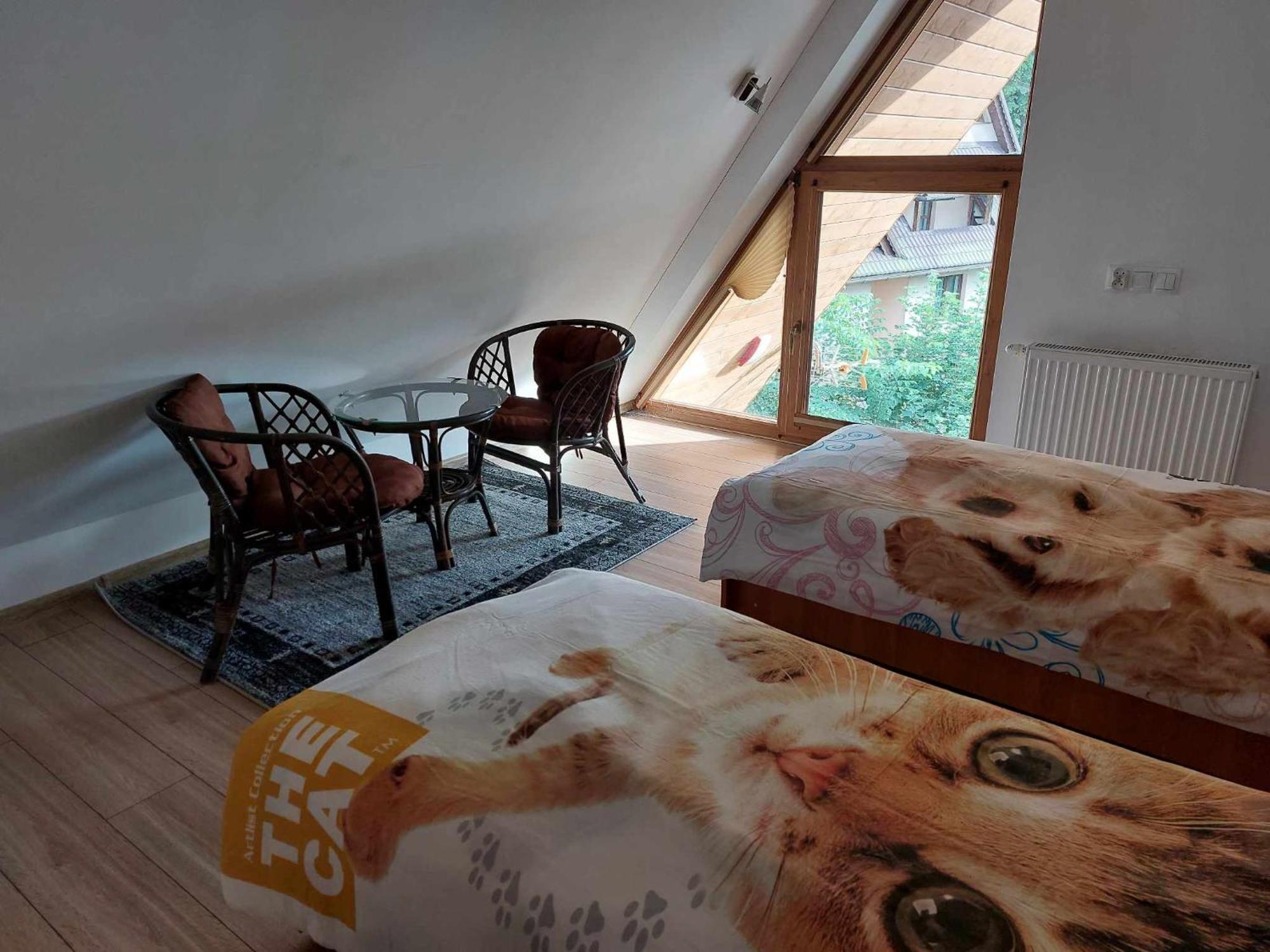 Apartamenty Cede Zakopane Extérieur photo