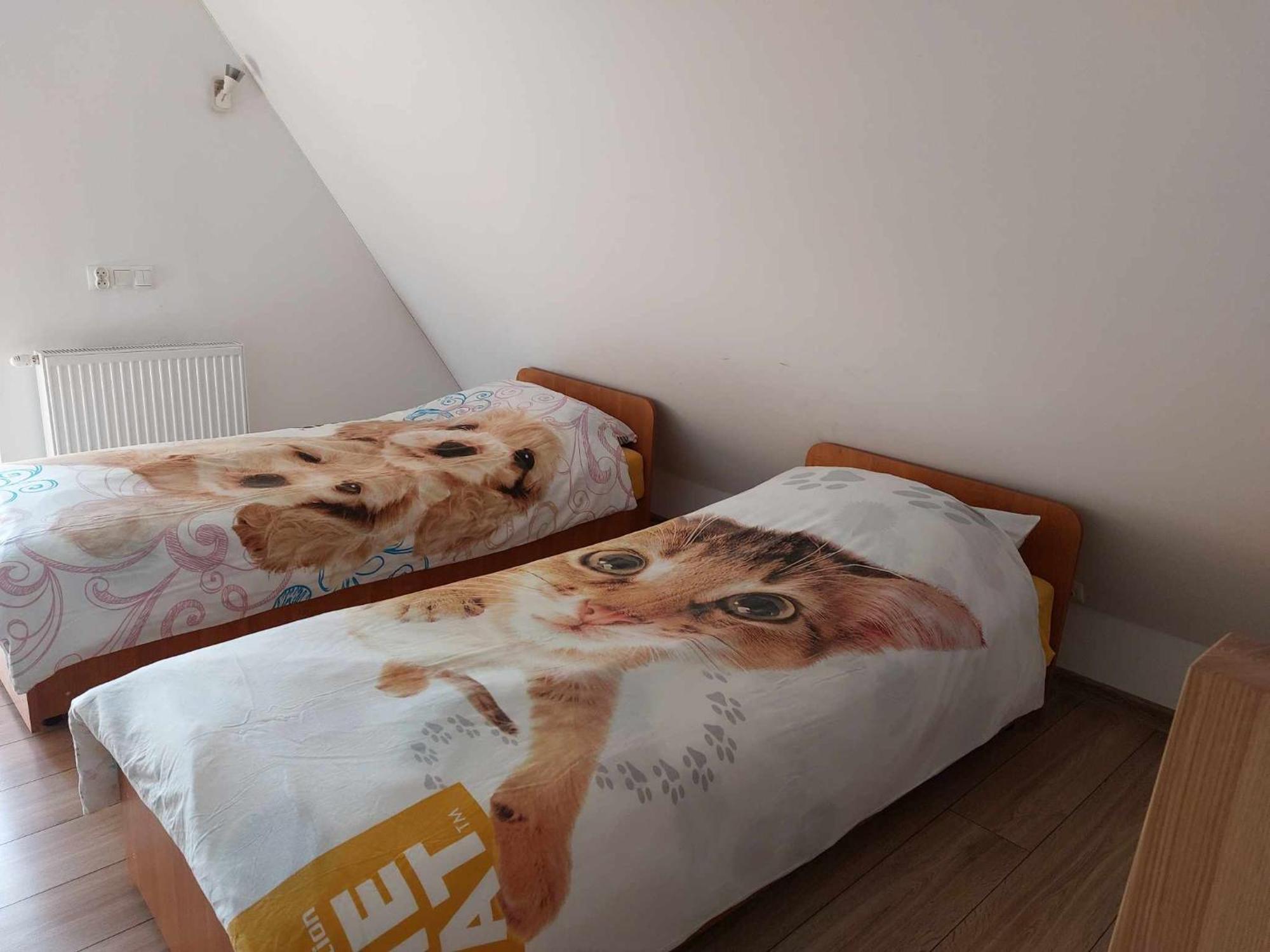 Apartamenty Cede Zakopane Extérieur photo